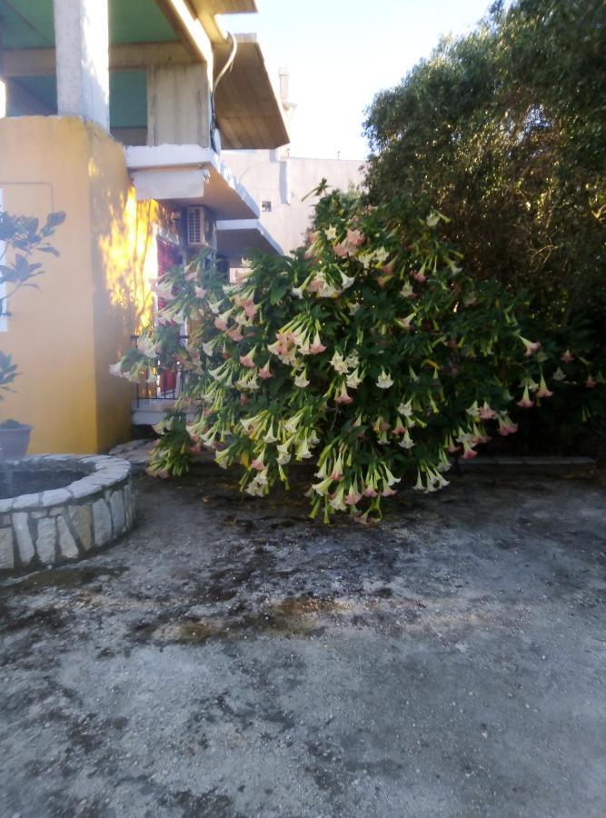 γαζής κωνσταντινος Hébergement de vacances